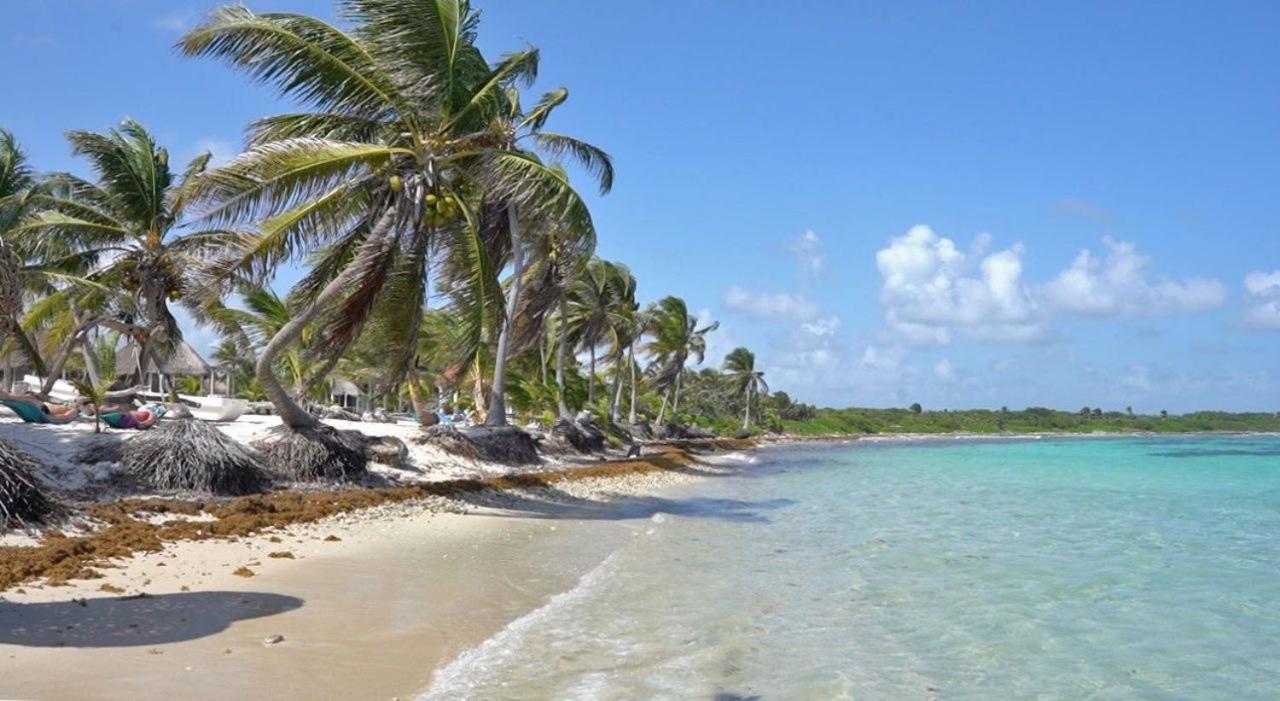 Cabanas Ecoturisticas Costa Maya Mahahual Bagian luar foto