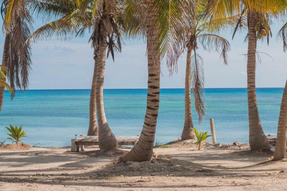 Cabanas Ecoturisticas Costa Maya Mahahual Bagian luar foto