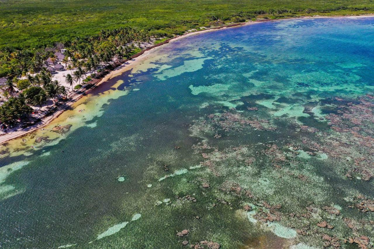 Cabanas Ecoturisticas Costa Maya Mahahual Bagian luar foto