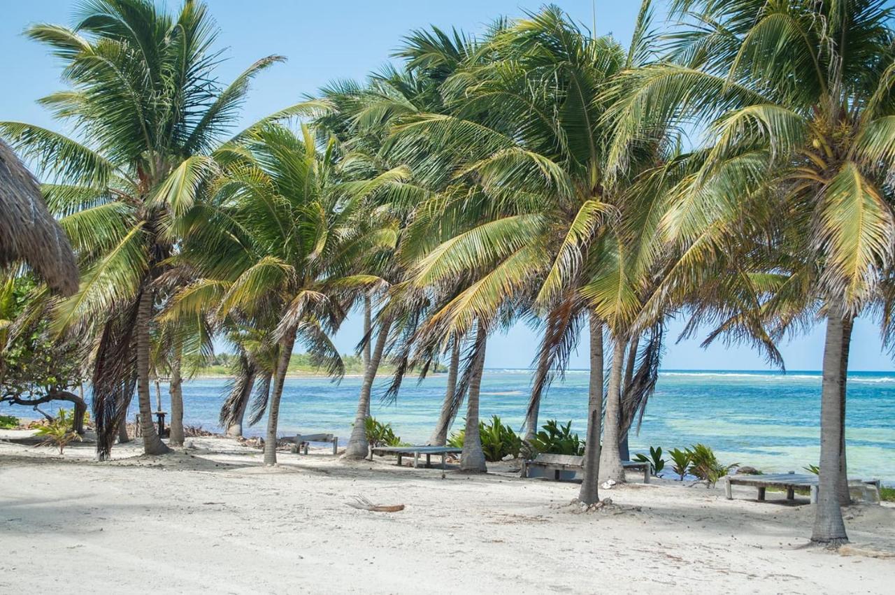 Cabanas Ecoturisticas Costa Maya Mahahual Bagian luar foto